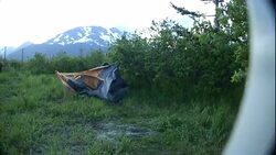 Openings in a predator shield frame two bears that pull apart a tent. Stock Footage