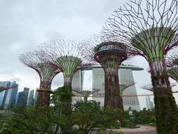 WS TL Supertrees in Gardens by the bay in front of Marina Bay Sands hotel  Stock Footage