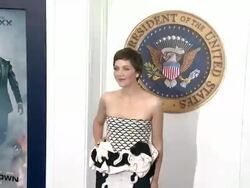Maggie Gyllenhaal at White House Down Premiere Stock Footage