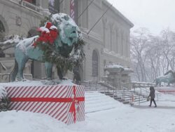WS Art Institute of Chicago facade in winter weather Stock Footage