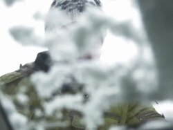 HD: Scraping Snow Off The Car Windshield Stock Footage