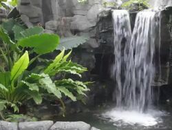 Detail of decorative waterfall in a botanical garden Stock Footage