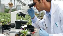 Confident botanist studies plant life in a nursery Stock Footage