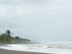 Stormy Beach (PAL) Stock Footage