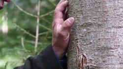 The world's longest wind instrument - the trembita Instructional Video