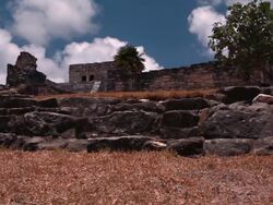 Static, medium wide shot of an ancient building in the sun with a tree next to it. Stock Footage
