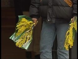 Italy: Women's Day: Illegal immigrants sell bunches of yellow mimosa News Clip
