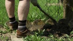 old woman gardening (close-up) Stock Footage