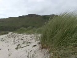 Sand Dunes Stock Footage