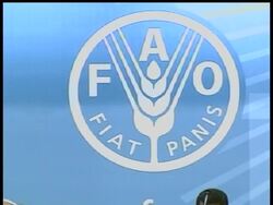 The United Nations is holding an international forum to fight hunger and improve the midst of a global food crisis.  Increasing food prices is creating social unrest in multiple countries News Clip