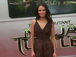 GettyImages Celebrity News - 08/04/2014 Stock Footage