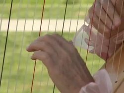 Harp Player Stock Footage