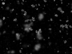 Isolated Snow  (Loopable) Stock Footage