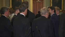 McConnell, Schumer Optimistic After Trump Meeting News Clip