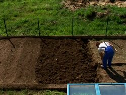 HD: Shoveling The Soil Stock Footage