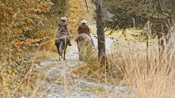 Two men riding their horses on country road Stock Footage
