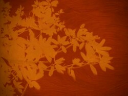 ORANGE LEAVES - Works well as a background. Stock Footage