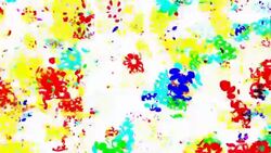 FLOWER TRANCE : (TRANSITION) Stock Footage