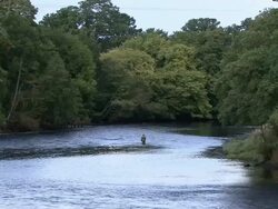 WS Fly fisherman in the shallows of Loch Ness / Highlands, Scotland, United Kingdom Stock Footage