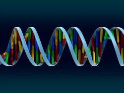DNA loop with alpha HD Stock Footage
