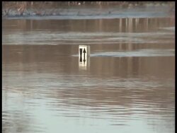 The crest of the Red River was met Sunday with more shrugs than white knuckles in Fargo, N.D. as flood fears receded. News Clip