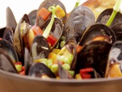 Close up of steamed mussels in bowl Stock Footage