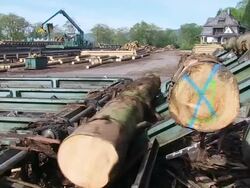 MS PAN Log moving for cutting at saw machine in lumberyard at saw mill / Schweich, Rhineland Palatinate, Germany Stock Footage