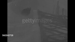 1932 Winter Olympics bob sledding accident News Clip