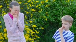 allergic to bloom Stock Footage