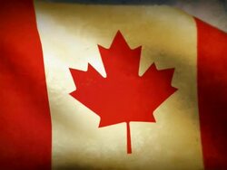 Waving Flag - Canada Stock Footage