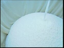 Sake created to the sound of Mozart News Clip