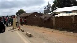 CLEAN : Thousands cheer as French News Clip