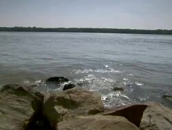 MS View of mississippi river / Memphis, Tennessee, United States Stock Footage