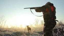 hunter Stock Footage