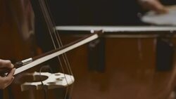 Musician playing double bass during concert Stock Footage