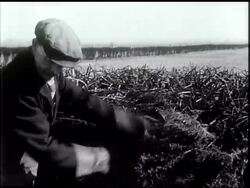 PLOUGHING FOR VICTORY BESIDE AINTREE JUMPS - News Clip