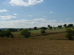 T/L Long Compton wheat fields, September, UK. 1fps - matches framing of TS313 to TS319, UK Stock Footage