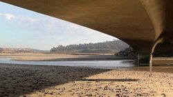 Torrey Pines Stock Footage