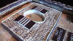 Campaigners use world toilet day to call for better sanitation with giant toilet shaped cake News Clip