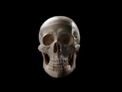 Skeletal Halloween Stock Footage