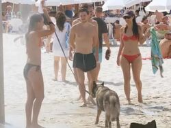  MS Shot of people taking shower with bathing suits having fun on sunny day / Tel Aviv, Dan Metropolitan,Gush Dan, Israel Stock Footage