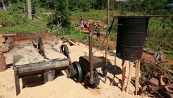 Logging on the Zomba Plateau in malawi, a land that has been heavily deforested to supply timber for making charcoal. Stock Footage