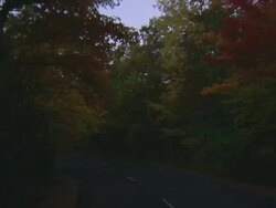 POV Driving down street lined with fall foliage / Mount Desert Island, Maine, United States Stock Footage