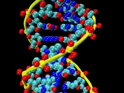 Animation of rotating DNA molecule Stock Footage