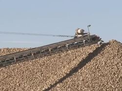 sugar beet harvest Stock Footage