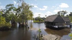 Amazon village and young girl on river skiff, Peruvian Amazon, Peru Stock Footage