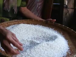 MS SLO MO Tray full of rice being checked for impirities / Vientiane, Laos Stock Footage