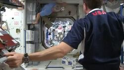 International Space Station crew get into the World Cup spirit with a zero gravity kick-about News Clip