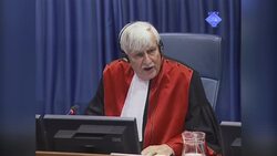 Evidence errors delay Mladic war crimes trial News Clip