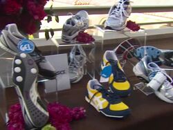 ATMOSPHERE: Asics Shoes at the Prevention Magazine's 1st Annual Hollywood Heroes Soiree at Beverly Hills CA. (Footage by WireImage Video/GettyImages) Stock Footage